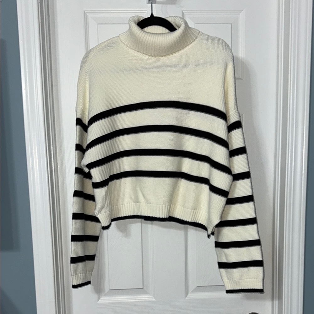 Dynamite Cropped Turtleneck